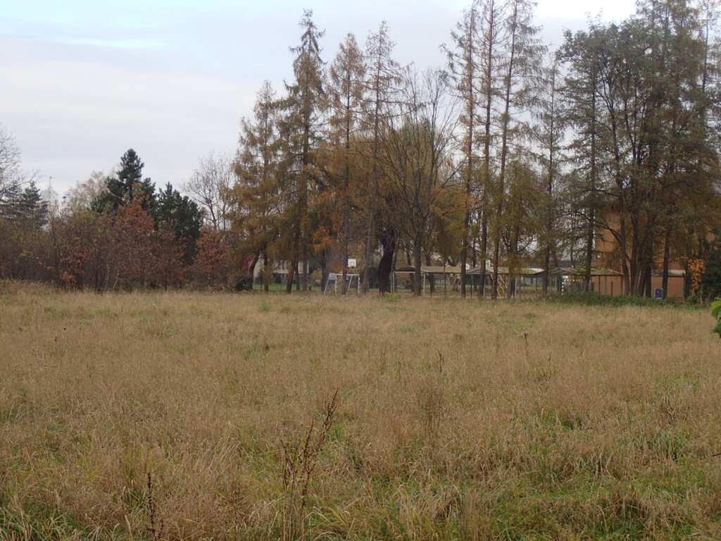 Działka inwestycyjna 1,53 ha, Ochaby Małe - zdjęcie 1