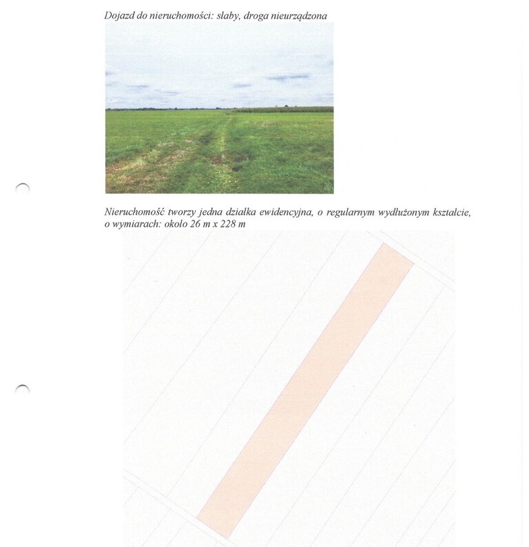 Działka rolna 5600 m², Skrzeszewy - zdjęcie 2