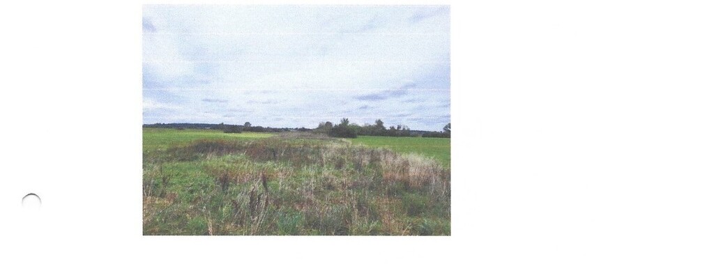 Działka rolna 5600 m², Skrzeszewy - zdjęcie 3