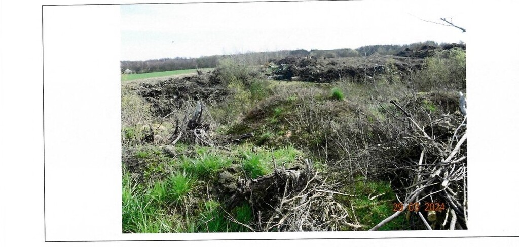 Działka rolna 1,00 ha, Czerniewo - zdjęcie 6