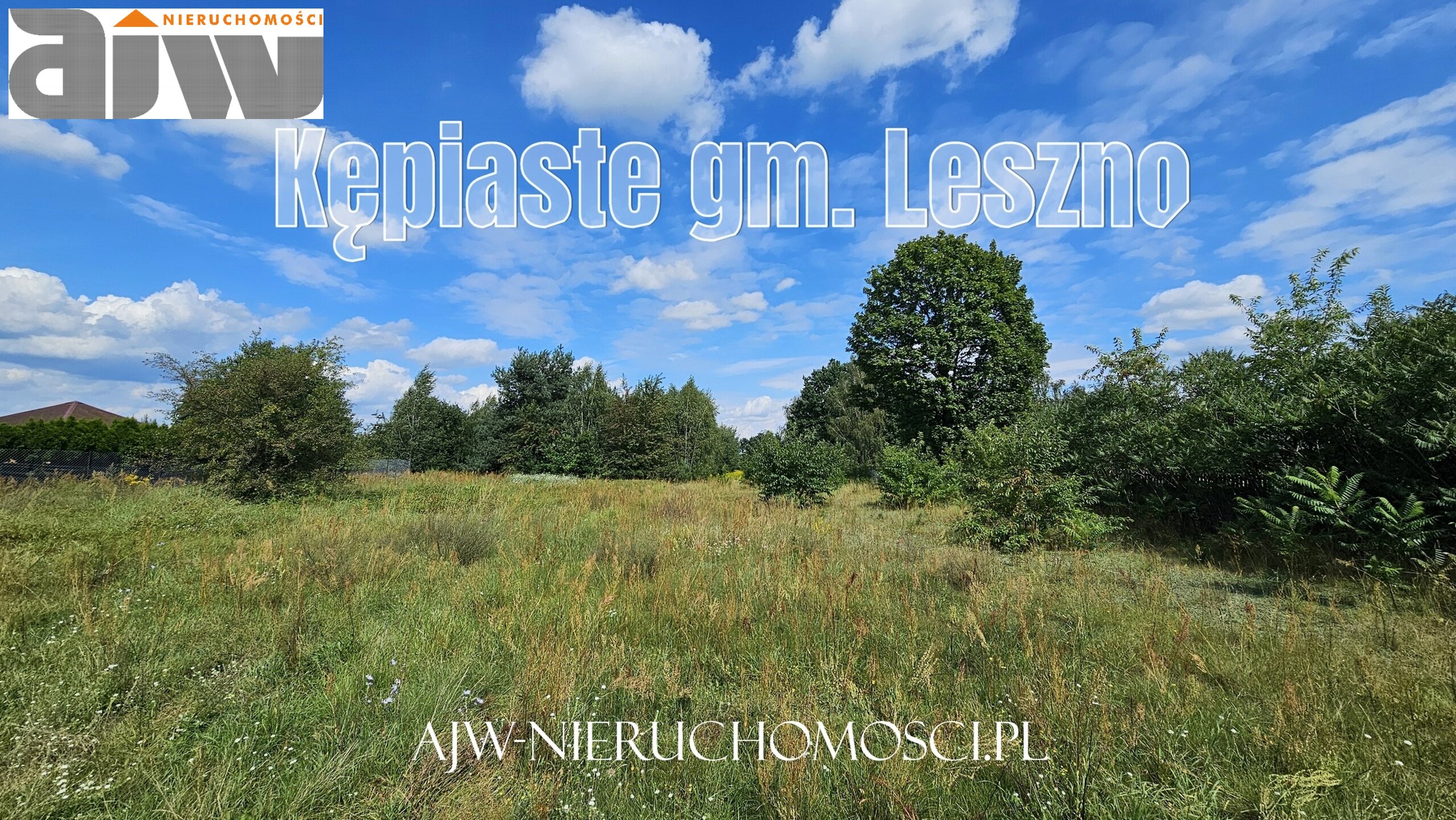 Kępiaste gm. Leszno 1,8 ha lub mniej - zdjęcie 6