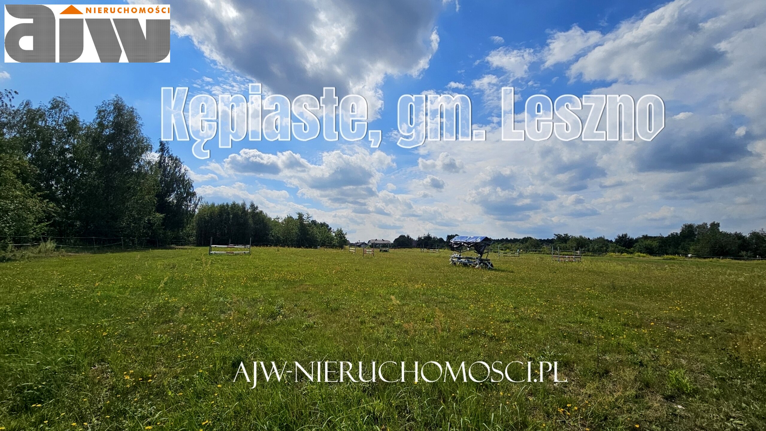 Kępiaste gm. Leszno 1,8 ha lub mniej - zdjęcie 3