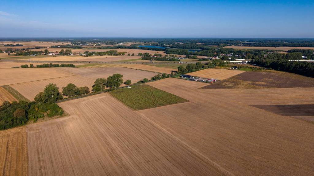 Działka budowlana 1201 m², Olchowo - zdjęcie 9
