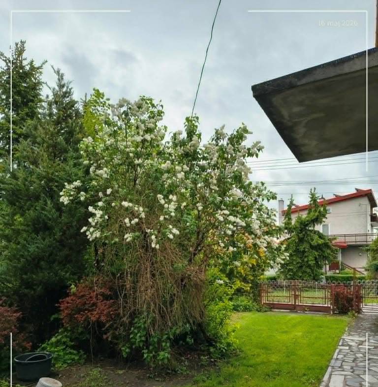 Dom 200 m², Opole Lubelskie, Łąkowa - zdjęcie 5