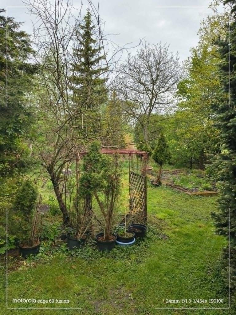 Dom 200 m², Opole Lubelskie, Łąkowa - zdjęcie 2