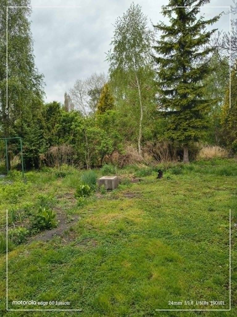 Dom 200 m², Opole Lubelskie, Łąkowa - zdjęcie 6