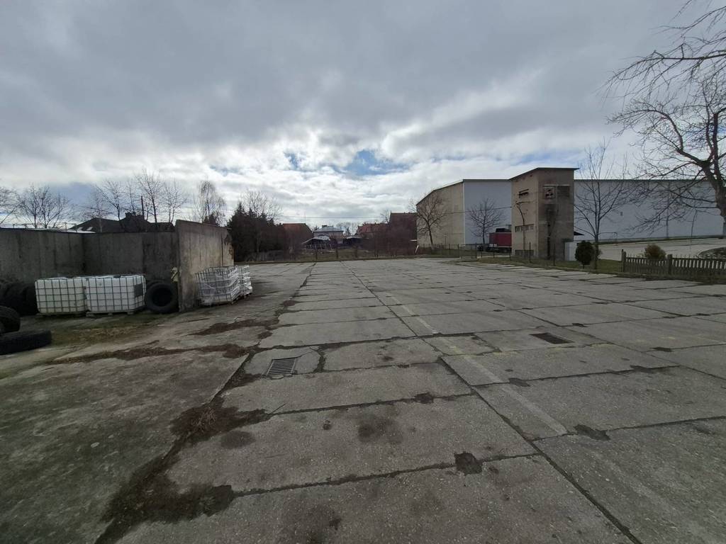 Magazyn na sprzedaż, 10007 m², Głubczyce, Stroma - zdjęcie 5