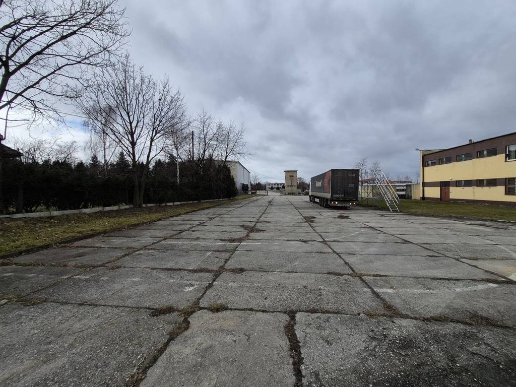 Magazyn na sprzedaż, 10007 m², Głubczyce, Stroma - zdjęcie 9