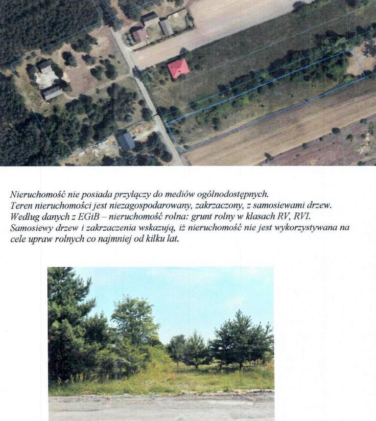 Działka rolna 4915&nbsp;m², Góry Małe - zdjęcie 1