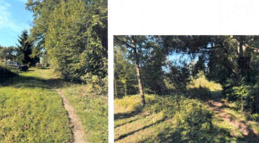 Działka budowlana 1000&nbsp;m², Budy-Grzybek - zdjęcie 2