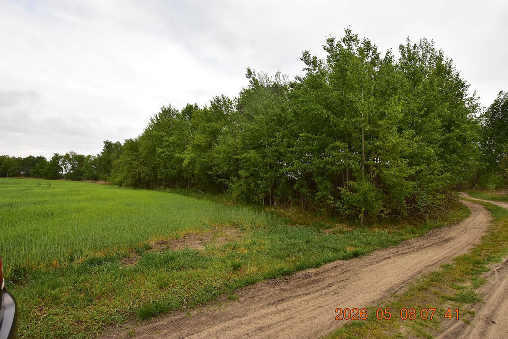Działka rolna 1865 m², Syców - zdjęcie 2
