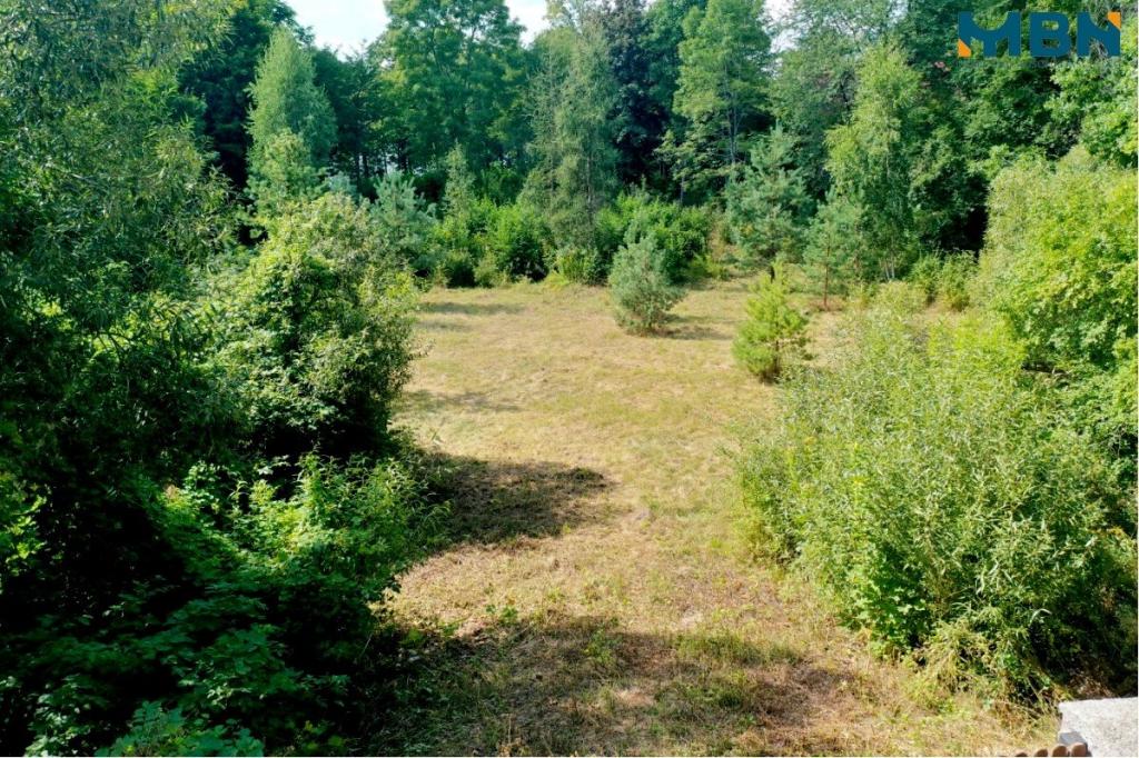 Działka budowlana 4231&nbsp;m², Cierzpięty - zdjęcie 4