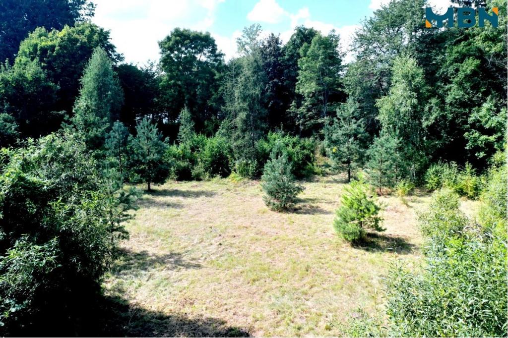 Działka budowlana 4231&nbsp;m², Cierzpięty - zdjęcie 5
