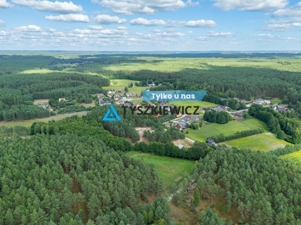 Leśny Azyl w Zaborskim Parku Krajobrazowym - zdjęcie 1