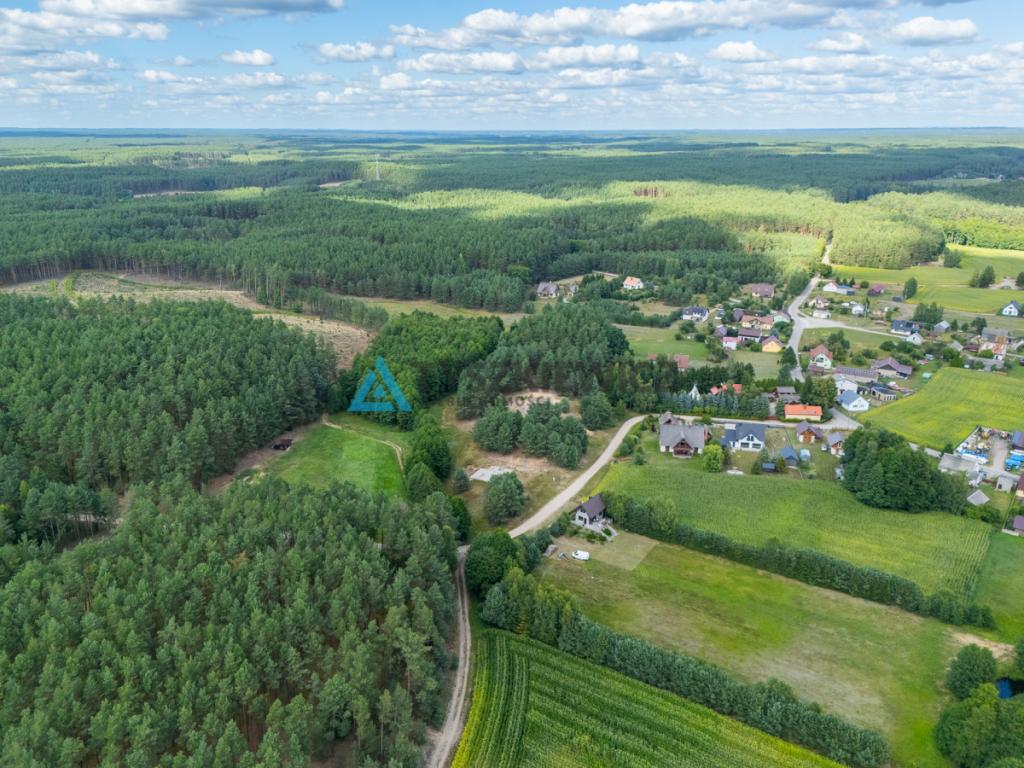 Leśny Azyl w Zaborskim Parku Krajobrazowym - zdjęcie 8
