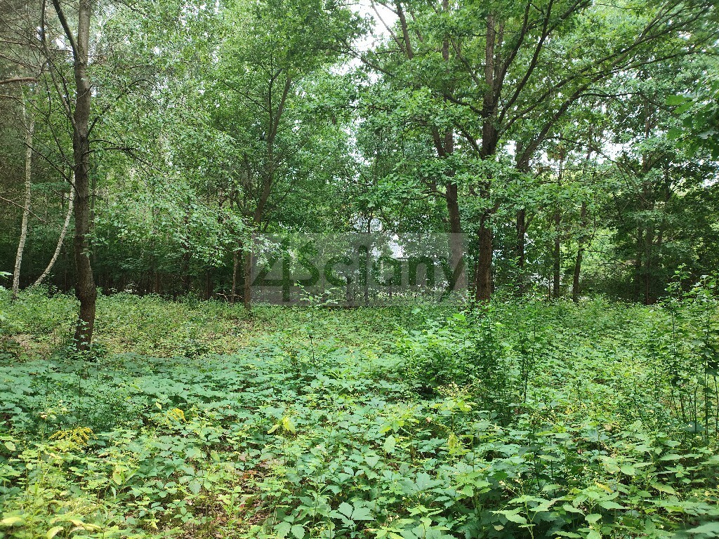 Działka budowlana 937 m², Komorów - zdjęcie 1