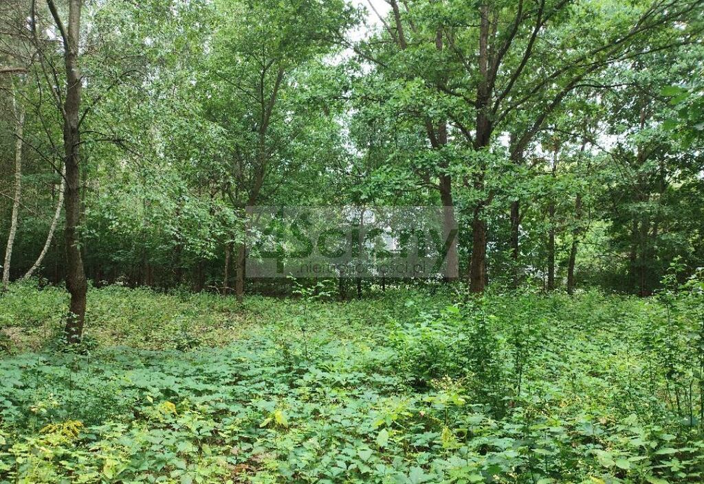 Działka budowlana 1981 m², Komorów - zdjęcie 2