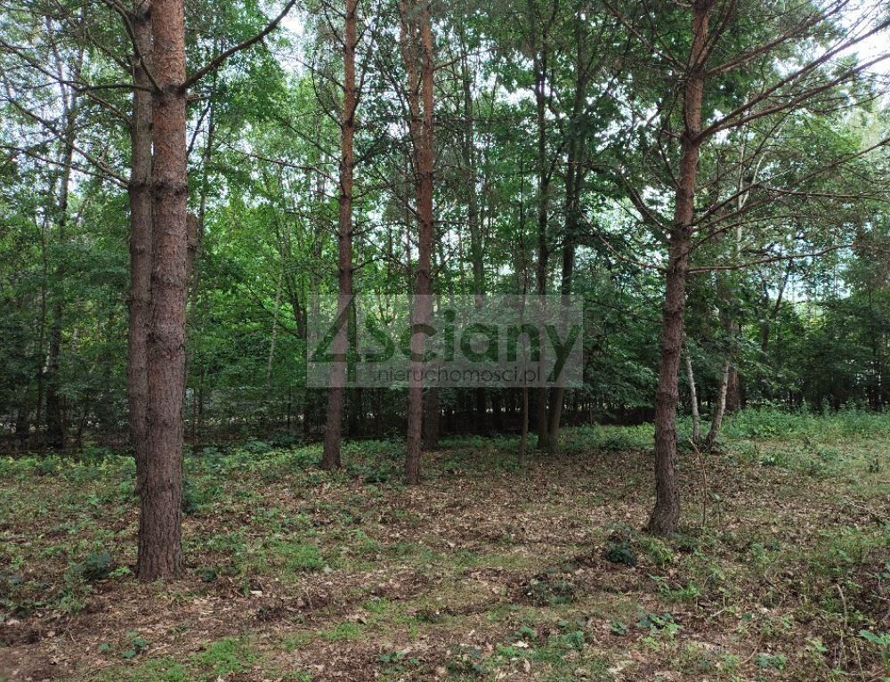 Działka budowlana 1981 m², Komorów - zdjęcie 1