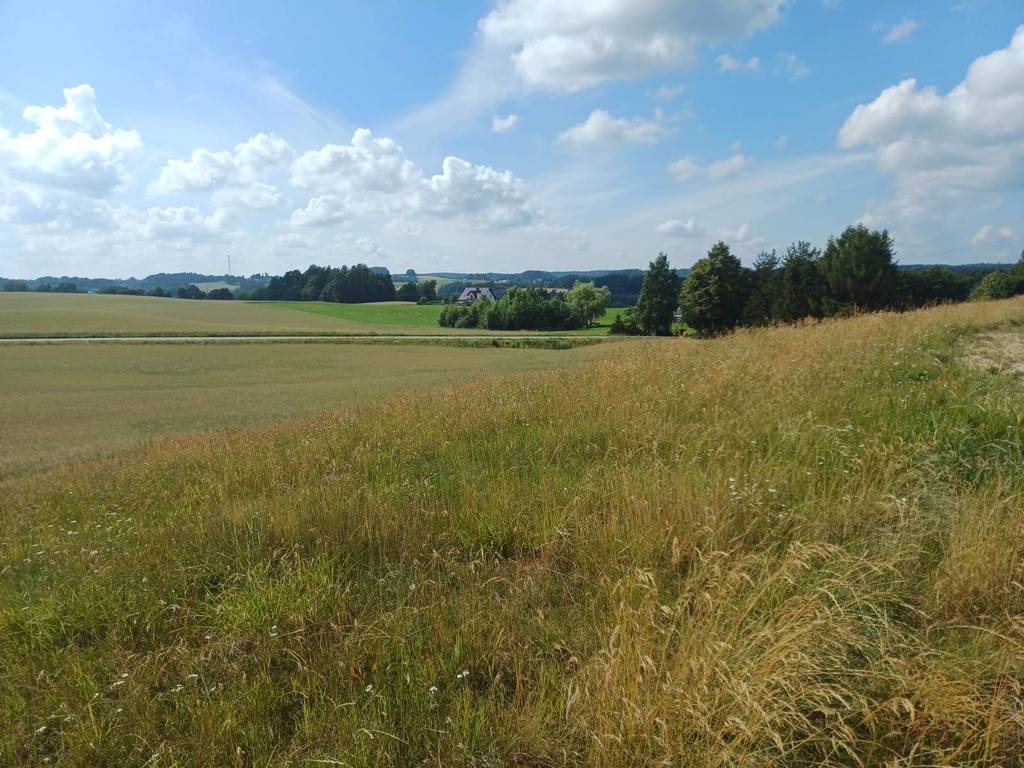 Działka budowlana 1011&nbsp;m², Borzestowska Huta - zdjęcie 7