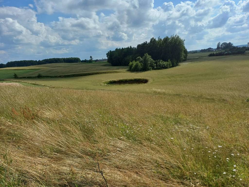 Działka budowlana 1011&nbsp;m², Borzestowska Huta - zdjęcie 3