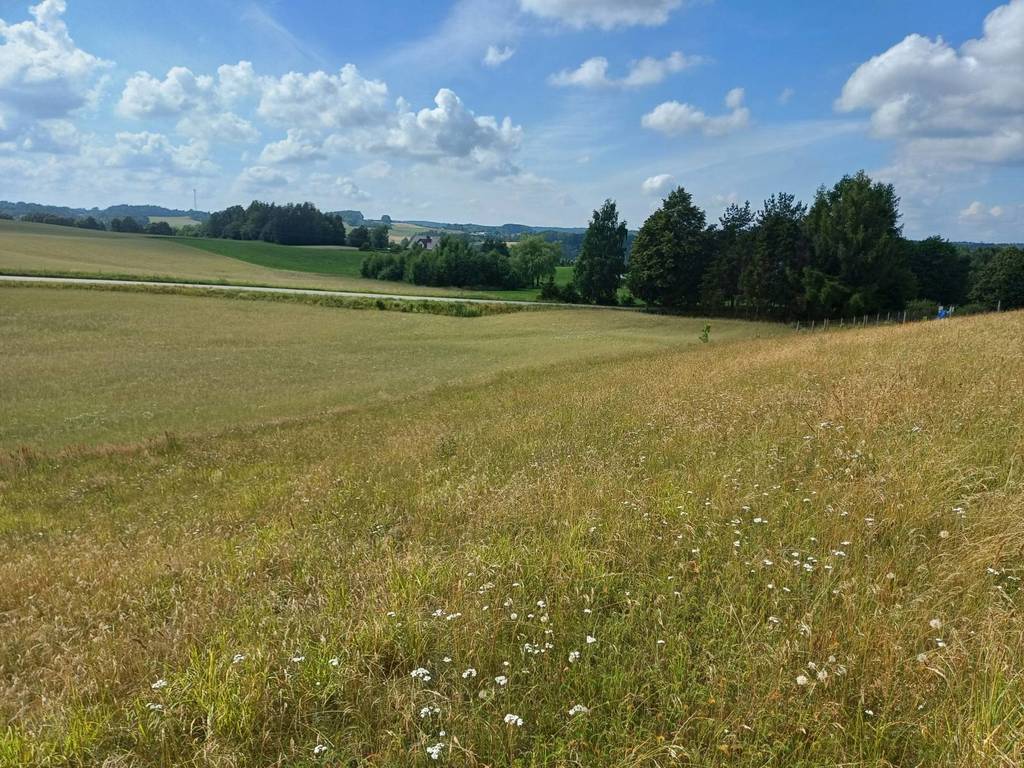 Działka budowlana 1011&nbsp;m², Borzestowska Huta - zdjęcie 1