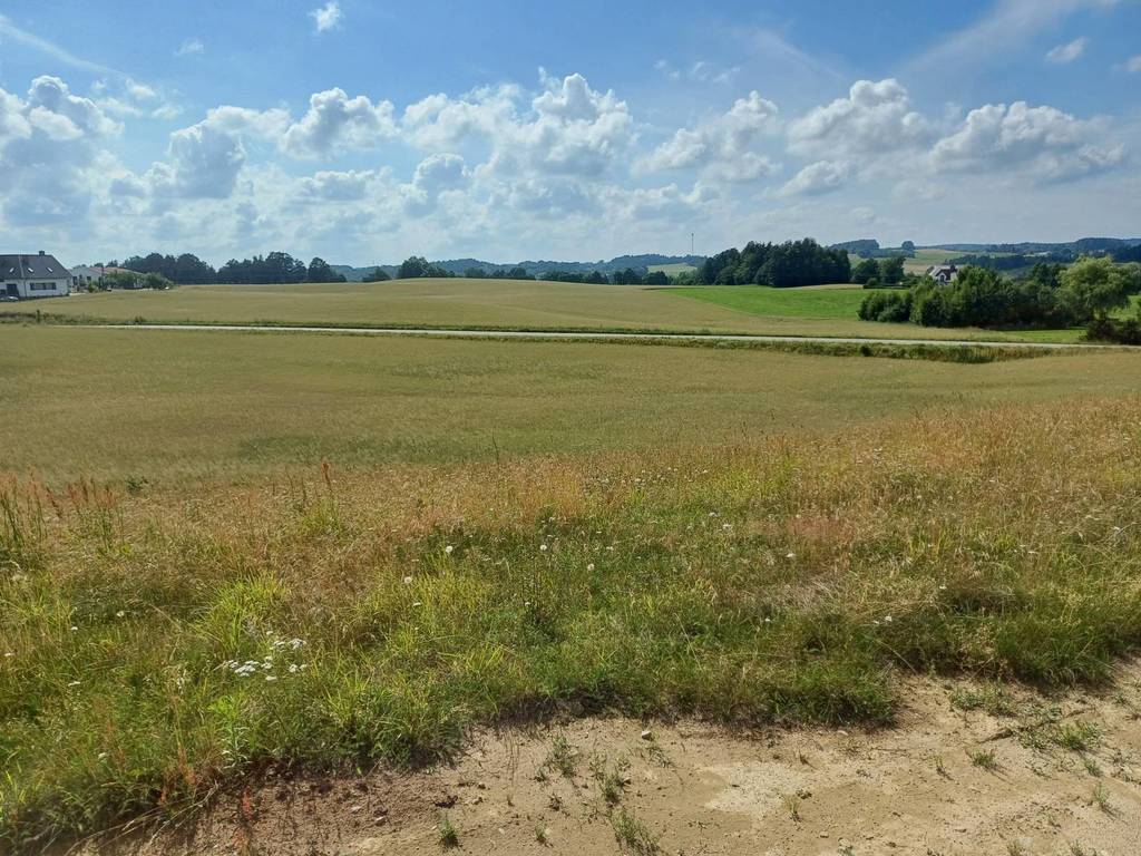 Działka budowlana 1011&nbsp;m², Borzestowska Huta - zdjęcie 9