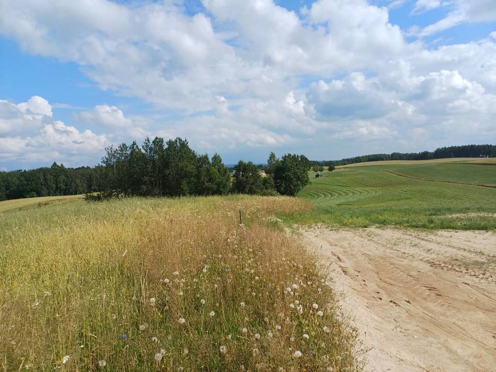 Działka budowlana 1011&nbsp;m², Borzestowska Huta - zdjęcie 4