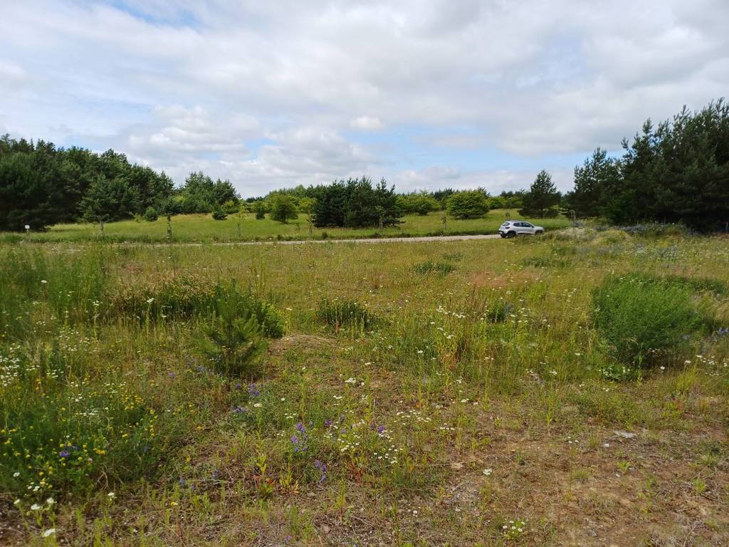 Działka budowlana 2327&nbsp;m², Trzcińsk, Dębowa - zdjęcie 8