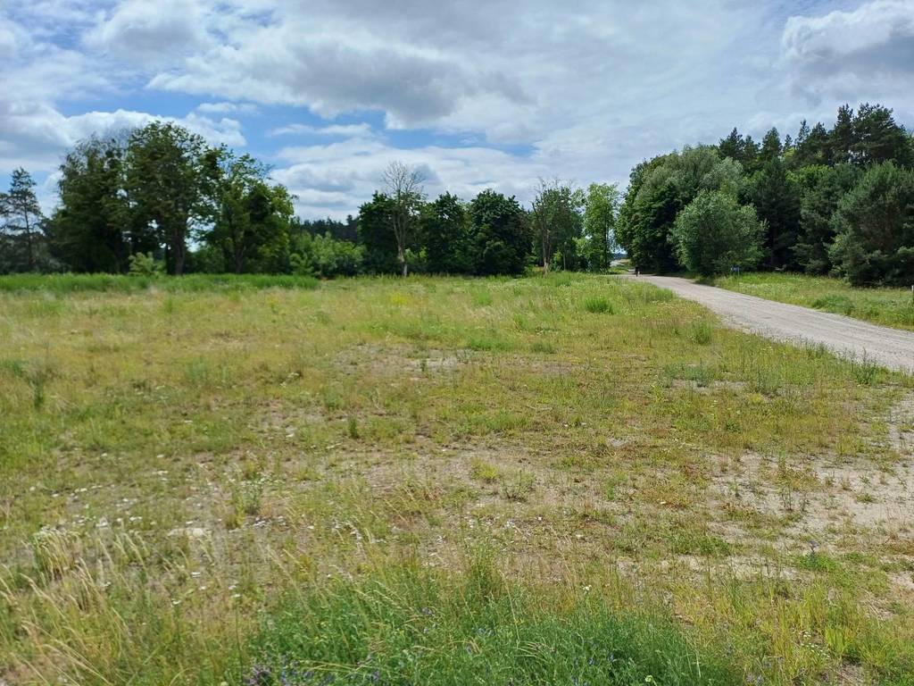 Działka budowlana 2327&nbsp;m², Trzcińsk, Dębowa - zdjęcie 2