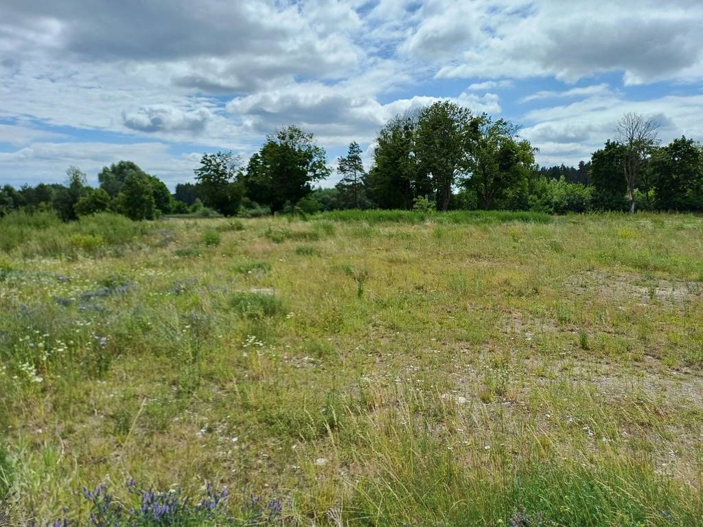 Działka budowlana 2327&nbsp;m², Trzcińsk, Dębowa - zdjęcie 9