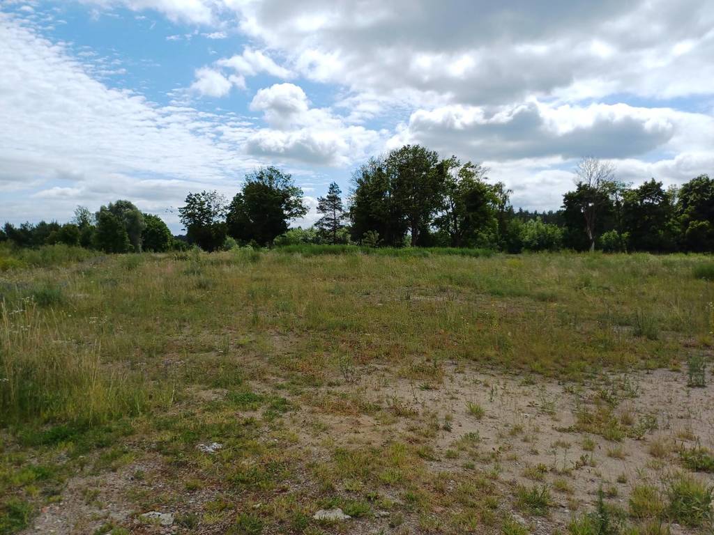 Działka budowlana 2327&nbsp;m², Trzcińsk, Dębowa - zdjęcie 7