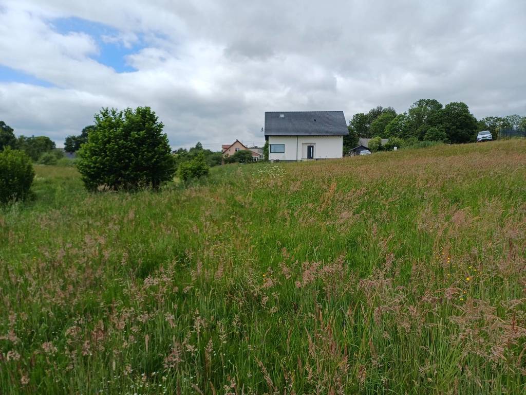 Działka budowlana 1121 m², Kamela, Wiktorii - zdjęcie 5