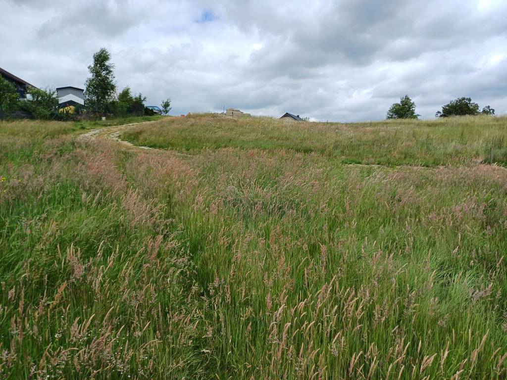 Działka budowlana 1121 m², Kamela, Wiktorii - zdjęcie 8