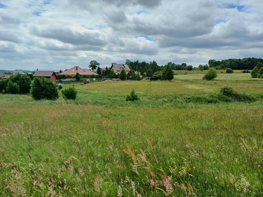 Działka budowlana 1121 m², Kamela, Wiktorii - zdjęcie 1
