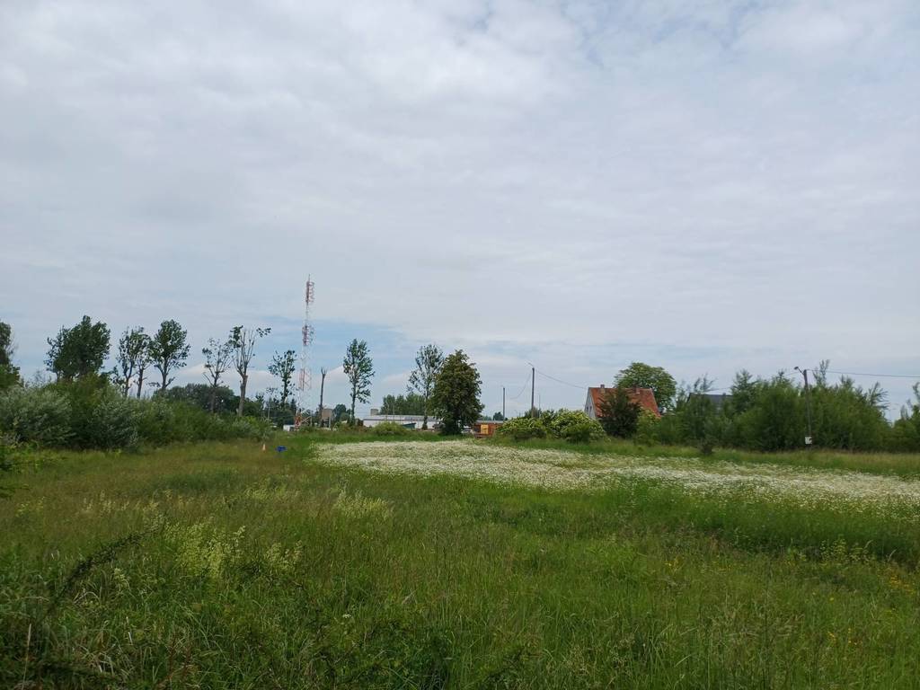 Działka inwestycyjna 3000&nbsp;m², Malbork, Toruńska - zdjęcie 10