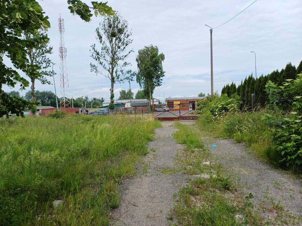 Działka inwestycyjna 3000&nbsp;m², Malbork, Toruńska - zdjęcie 8