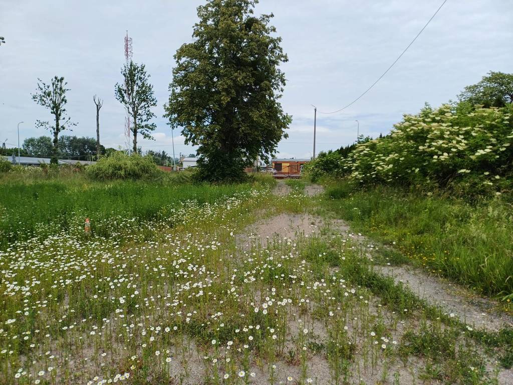 Działka inwestycyjna 3000&nbsp;m², Malbork, Toruńska - zdjęcie 5