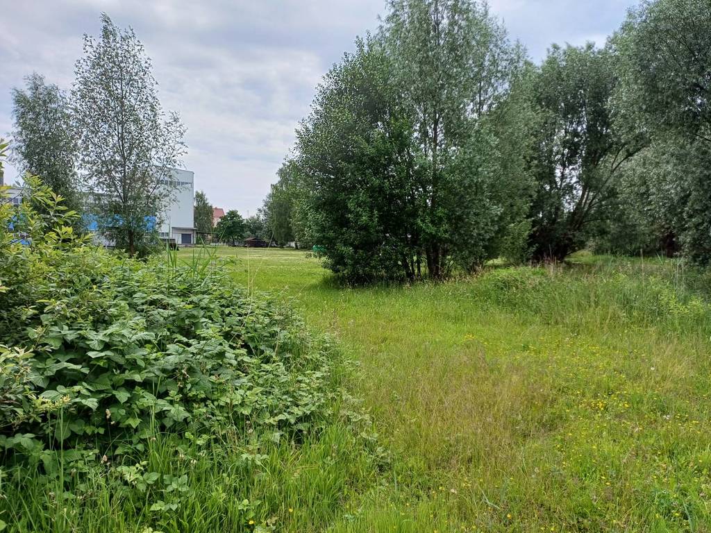 Działka inwestycyjna 3000&nbsp;m², Malbork, Toruńska - zdjęcie 6