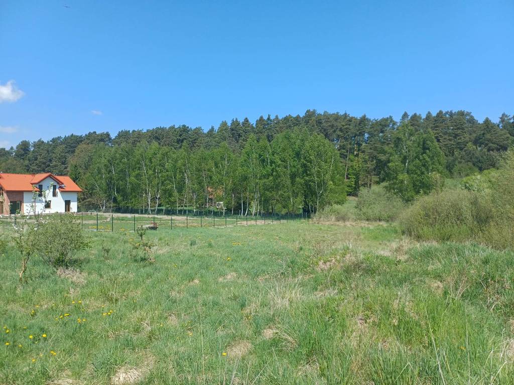 Działka budowlana 5544 m², Leźno, Jagodowe Wzgórze - zdjęcie 3