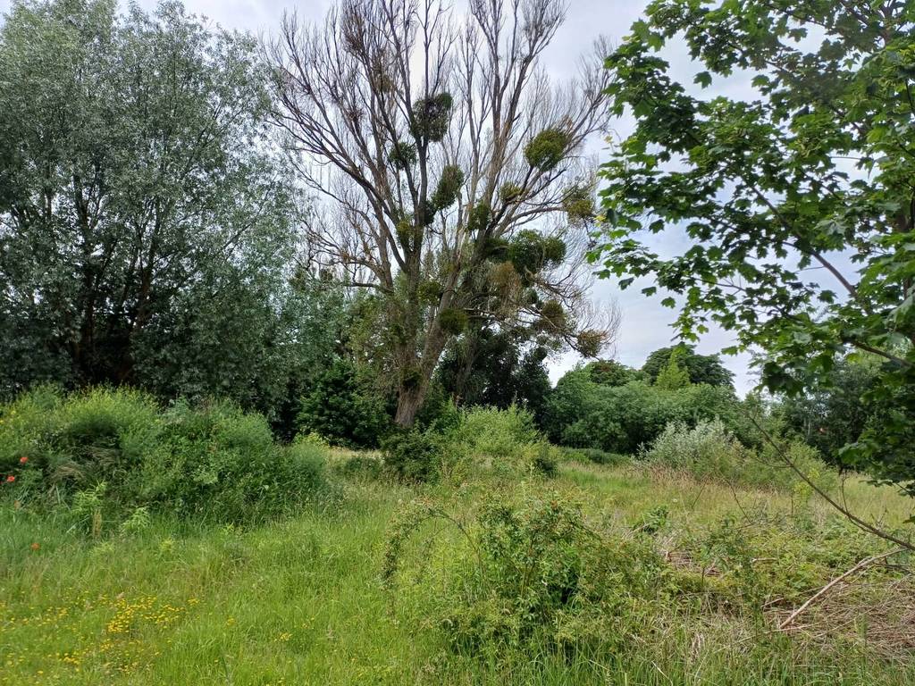 Działka inwestycyjna 1,76 ha, Malbork, Toruńska - zdjęcie 5