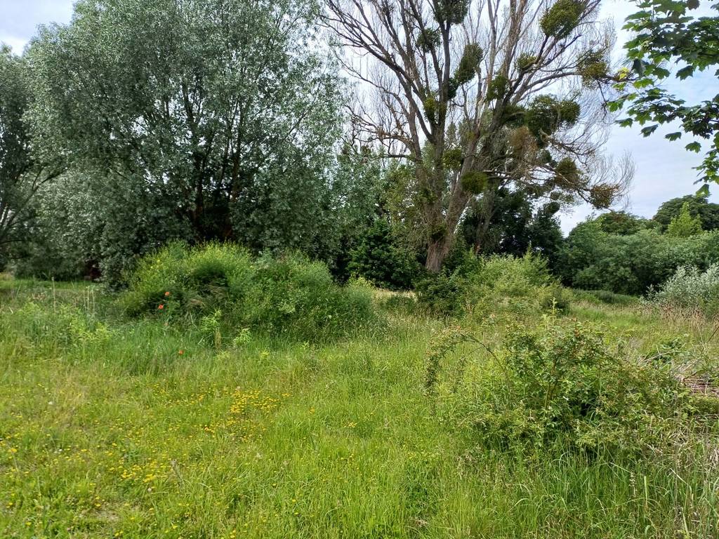 Działka inwestycyjna 1,76 ha, Malbork, Toruńska - zdjęcie 6