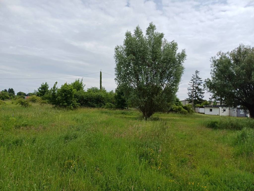 Działka inwestycyjna 1,76 ha, Malbork, Toruńska - zdjęcie 4