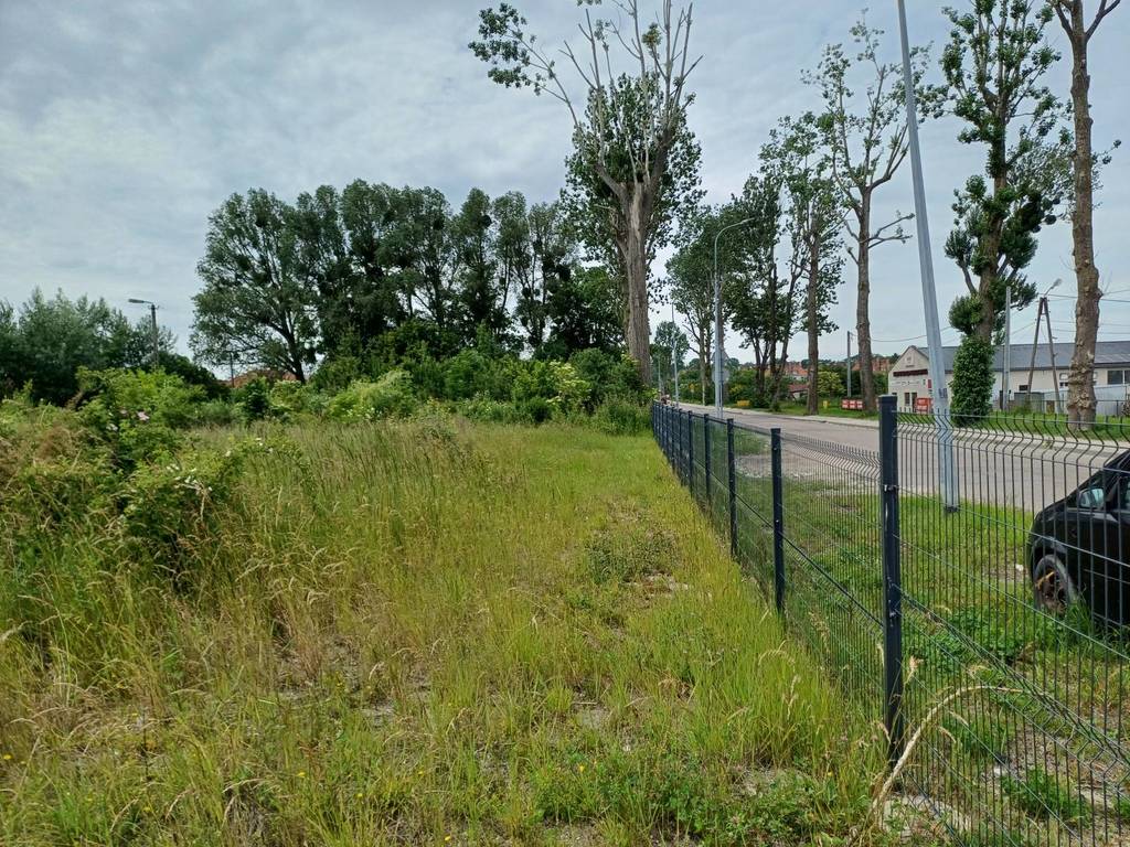 Działka inwestycyjna 1,76 ha, Malbork, Toruńska - zdjęcie 9