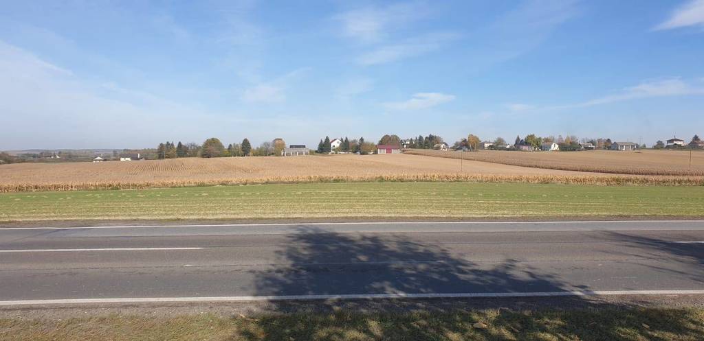 Działka inwestycyjna 1,82&nbsp;ha, Werbkowice, Zamojska - zdjęcie 3