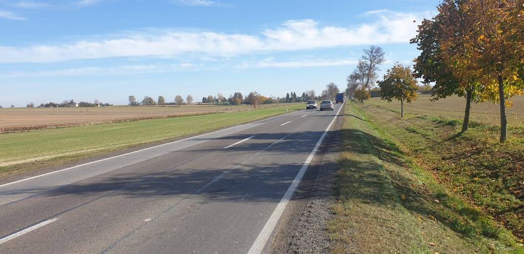 Działka inwestycyjna 1,82&nbsp;ha, Werbkowice, Zamojska - zdjęcie 4