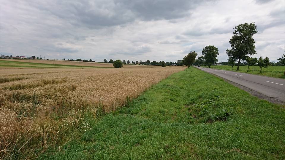 Działka inwestycyjna 1,82&nbsp;ha, Werbkowice, Zamojska - zdjęcie 9