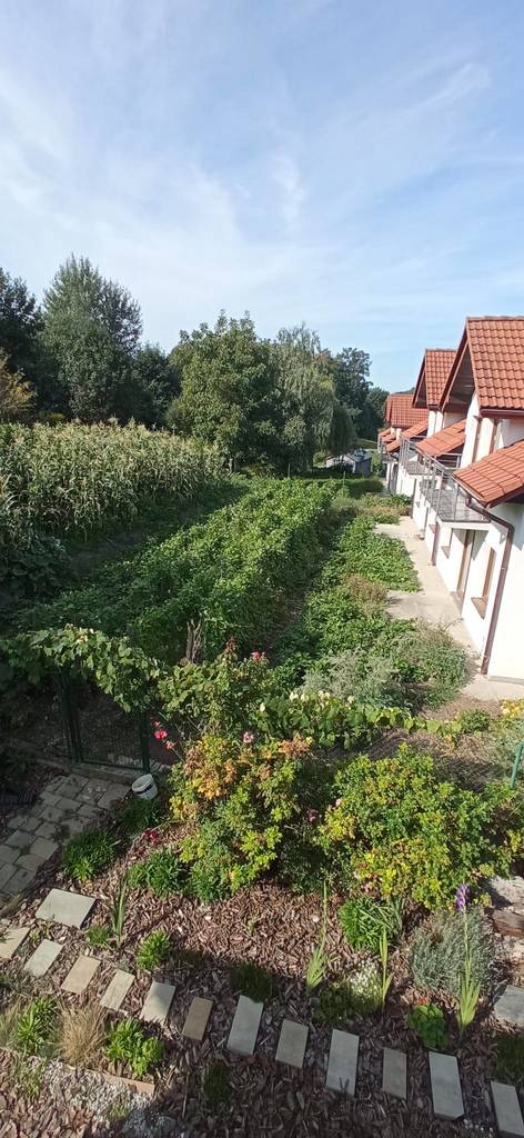 Dom 140 m², Kraków, Adama Krzyżanowskiego - zdjęcie 6