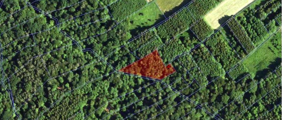 Działka rolna 1,28&nbsp;ha, Glinik - zdjęcie 1