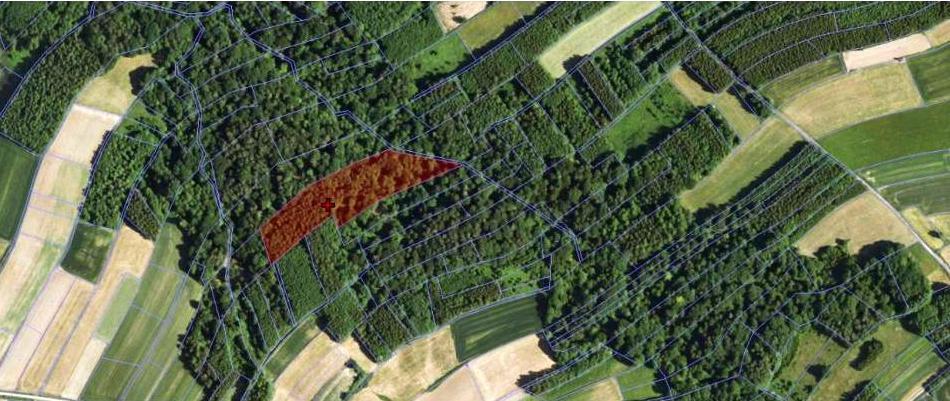 Działka rolna 1,28&nbsp;ha, Glinik - zdjęcie 2