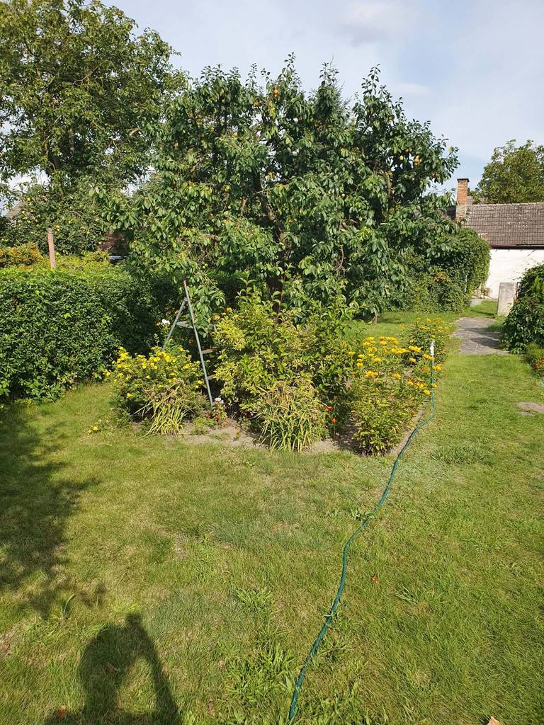 Działka budowlana 1613 m², Gorzów Wielkopolski, Zagrodowa - zdjęcie 7